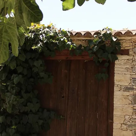 Traditional House 20km From Nicosia Pera