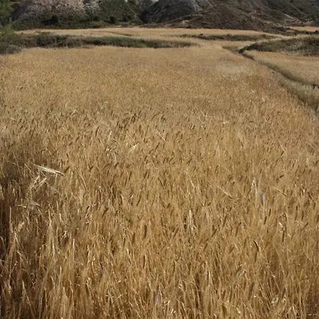 Traditional House 20km From Nicosia * Pera